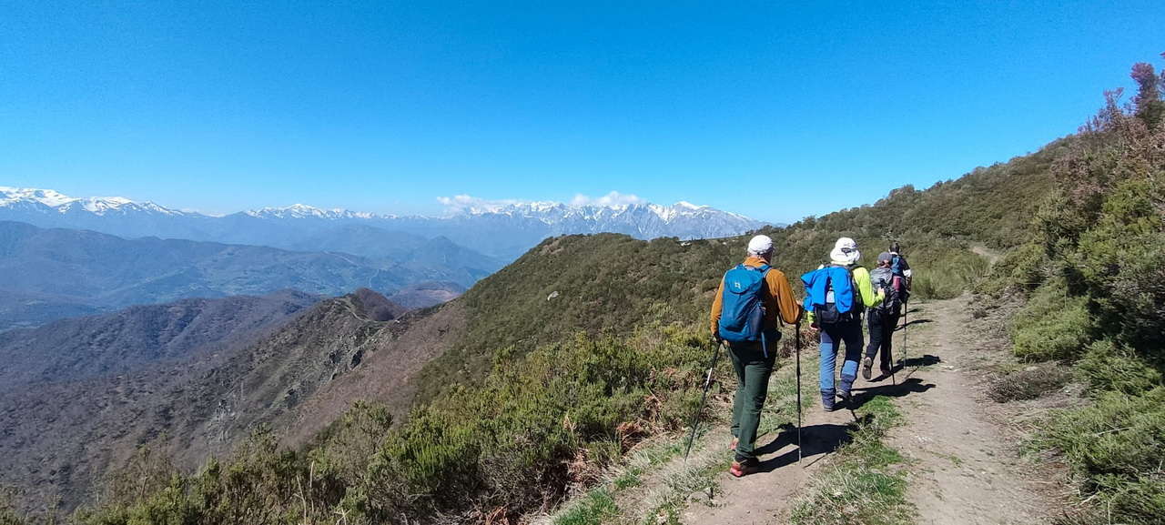 WhatsApp Image 2026-03-23 at 08.14.03